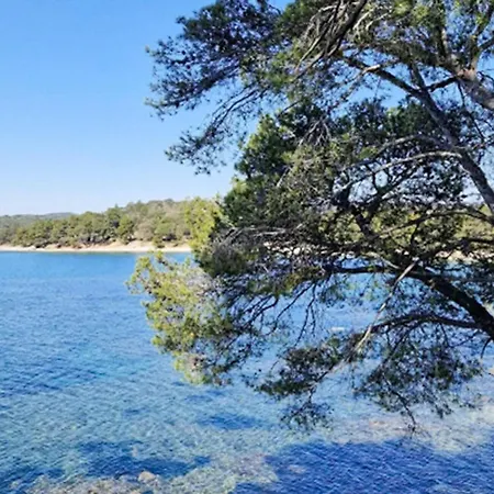 Amazing In Les Maures *