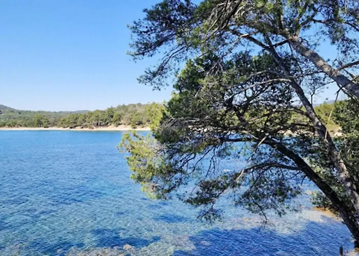 Amazing In Les Maures *