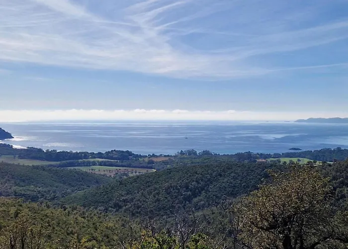 Amazing In Les Maures *